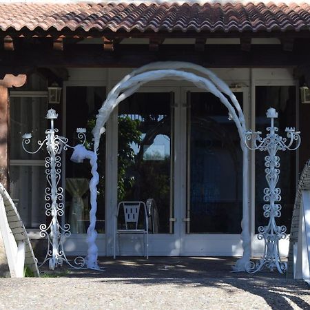 Hotel Las Casitas Del Jardin Tudela de Duero Exteriér fotografie